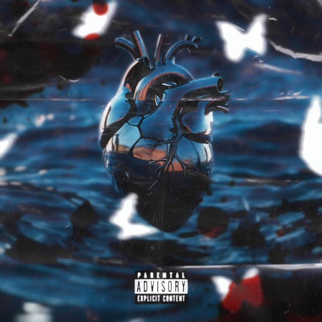 Insta Feed by m7ximus